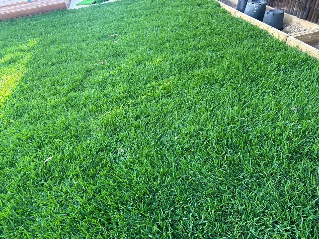 Turf and grass landscaping by G Cheema Landscaping Melbourne